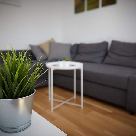 Gemuetliches Apartment In Zentraler Lage 格拉茨 外观 照片